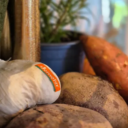 Holistic Oekologisch-biologisch-philosophisch 아파트 호그렌즈하우젠