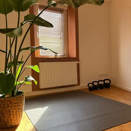 Holistic Oekologisch-biologisch-philosophisch * Höhr-Grenzhausen