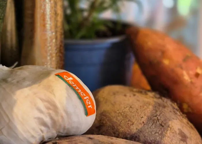 Holistic Oekologisch-biologisch-philosophisch 아파트 호그렌즈하우젠